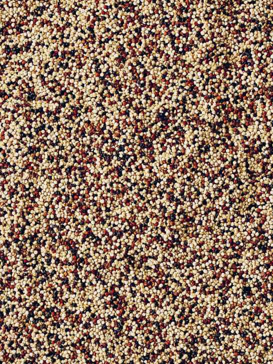 Quinoa