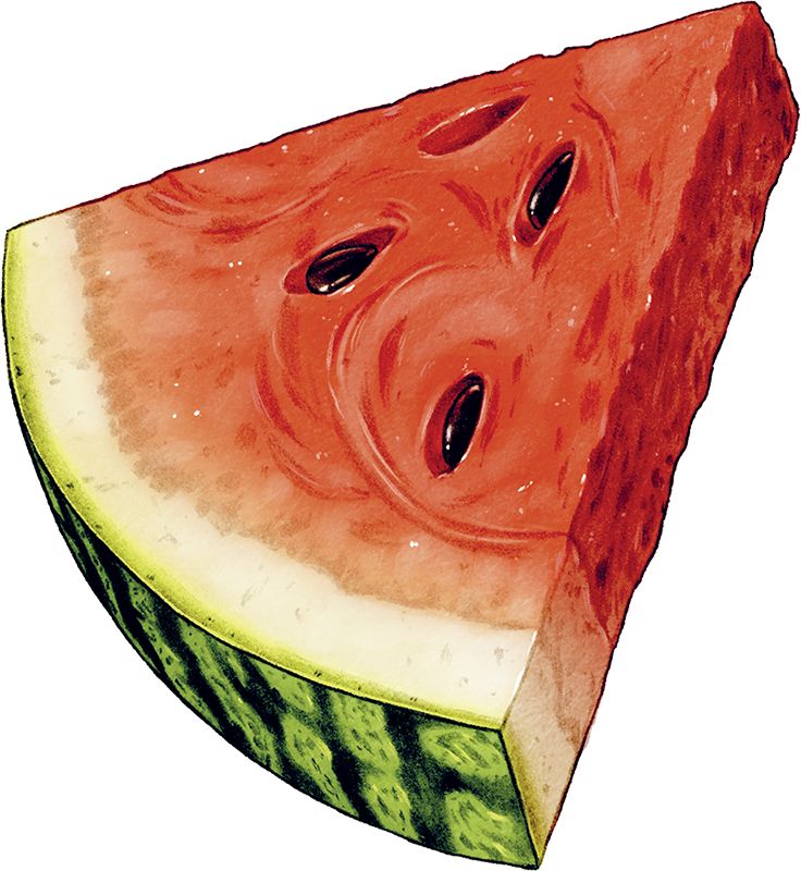 Watermelon slice