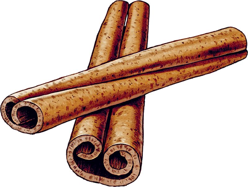 Cinnamon stick