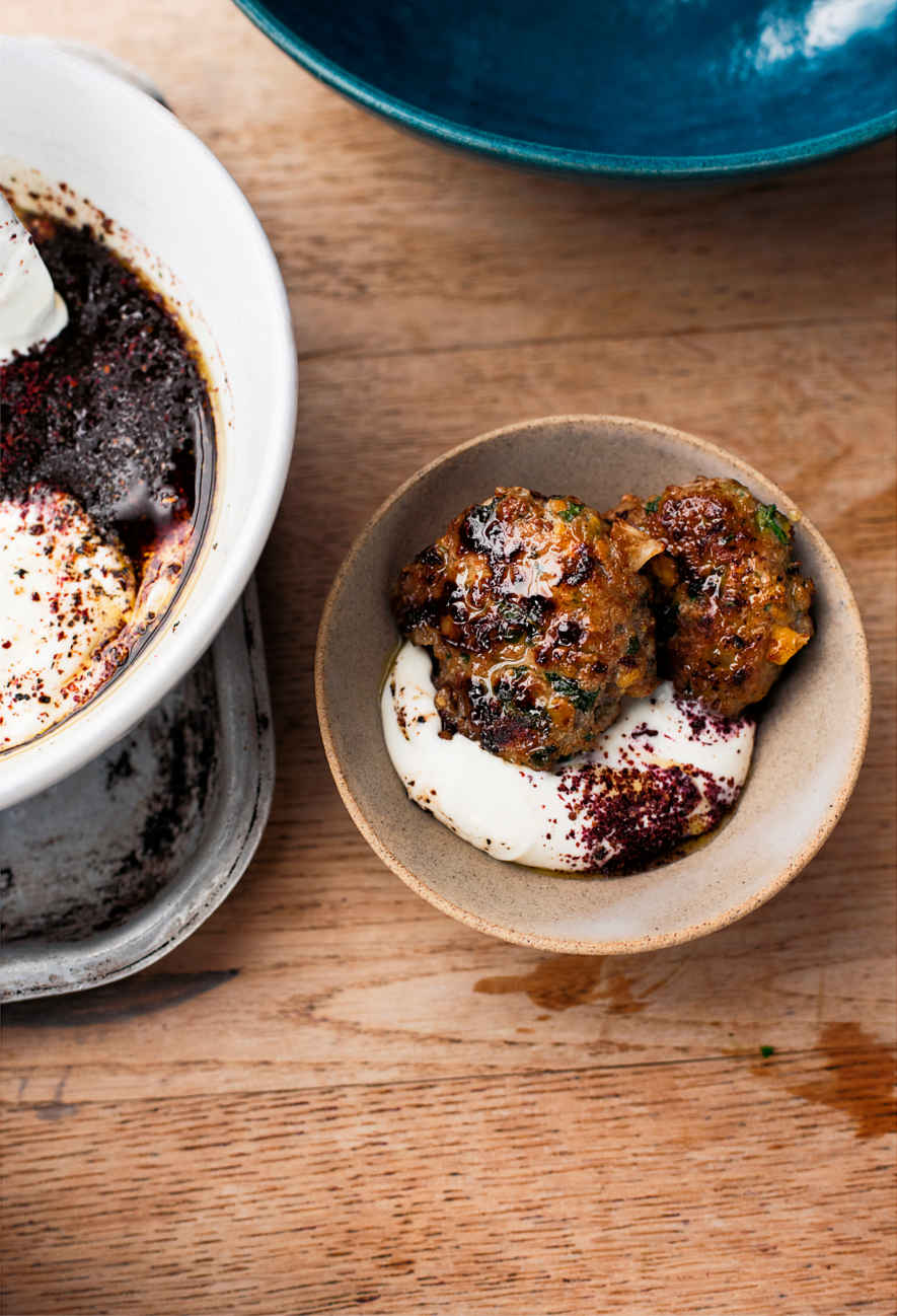 image_page_216 image_page_216