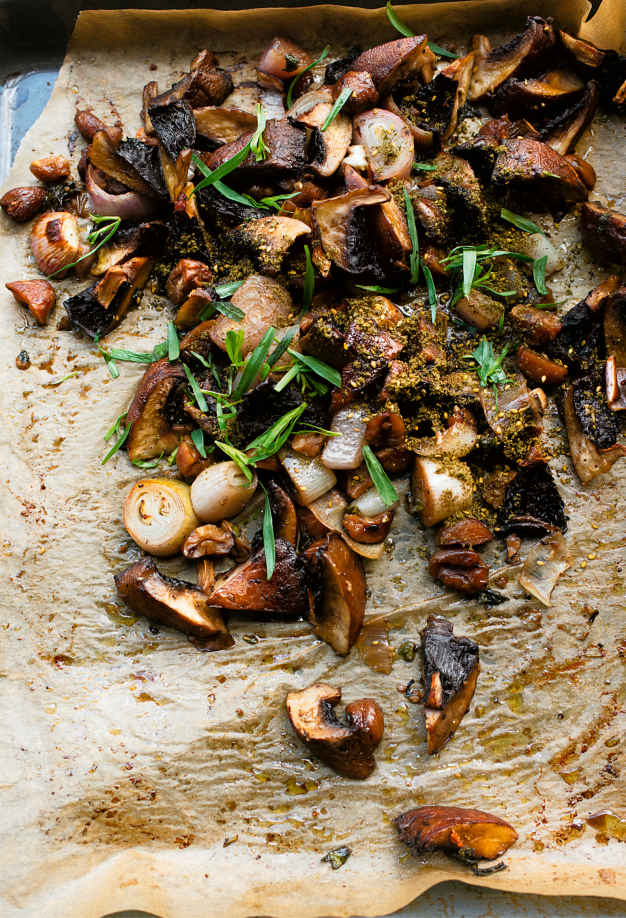 image_page_114 image_page_114