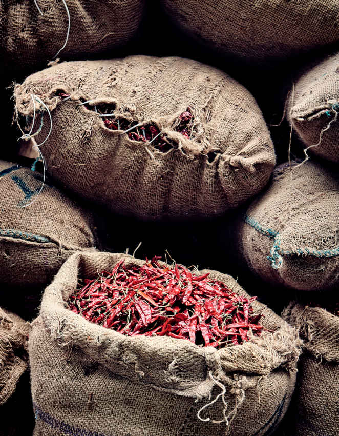 CHILI MARKET: chilies being sold in sacks